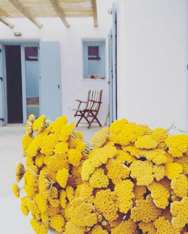Villa Theia - Selene , Appartement De Charme Pour 4 A 6 Personnes Pres De La Plage Et Du Village De Koufonissi Koufonisia エクステリア 写真