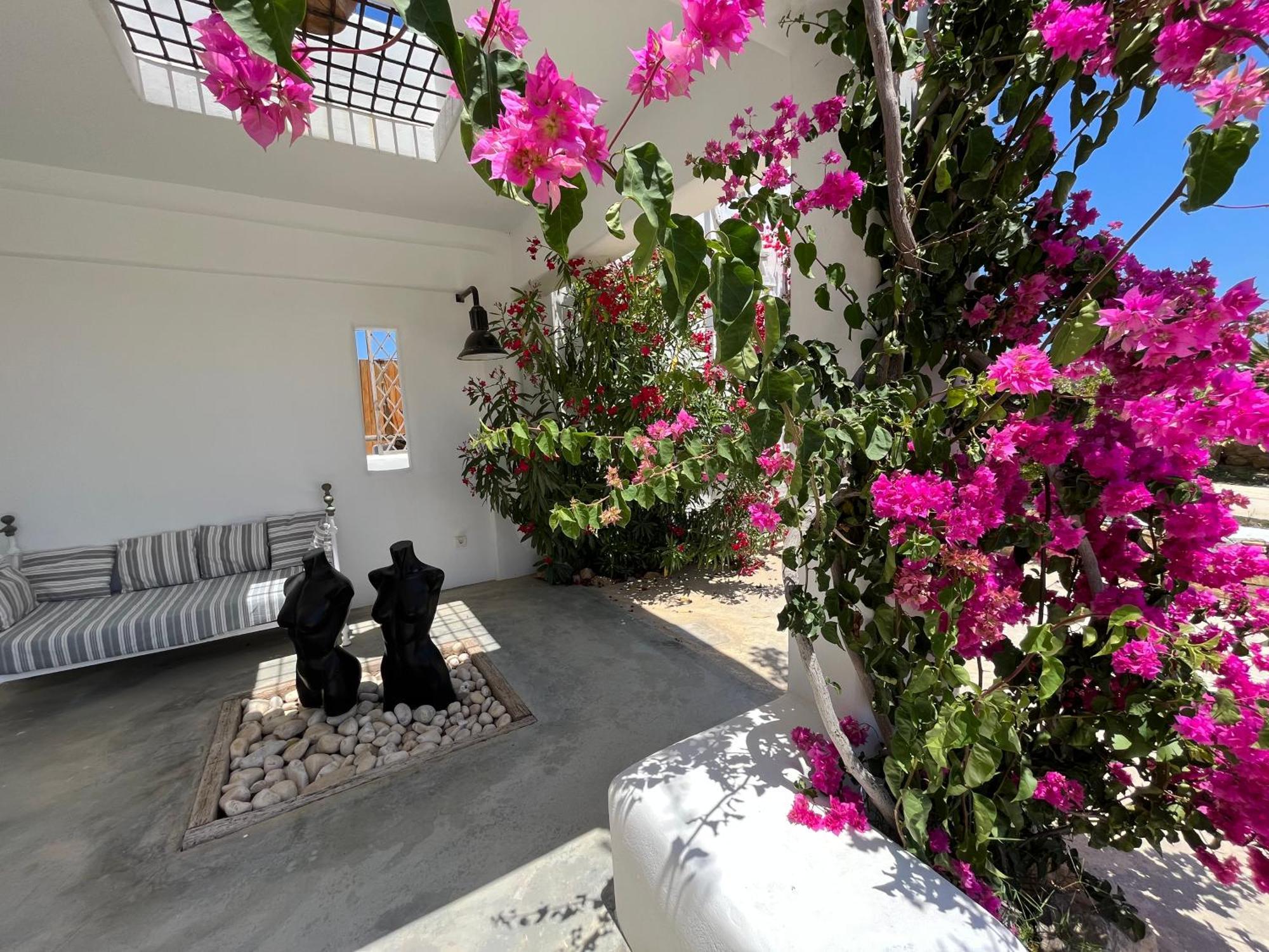 Villa Theia - Selene , Appartement De Charme Pour 4 A 6 Personnes Pres De La Plage Et Du Village De Koufonissi Koufonisia エクステリア 写真